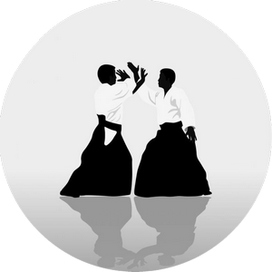 Aikido